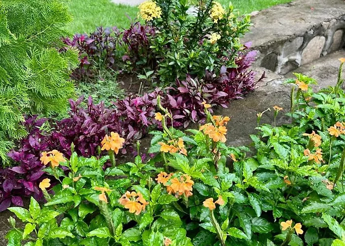 Beehive Hotel 3*